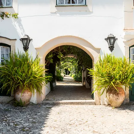 Hotel Quinta De Sao Lourenco Anadia